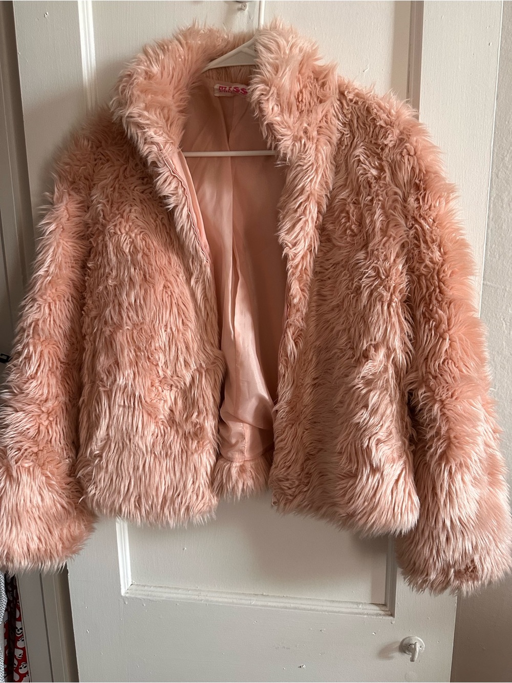 Blush Pink Faux Fur Jacket